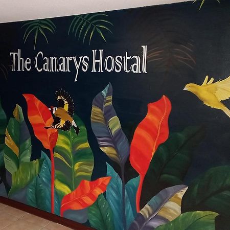 The Canarys Hostal 圣罗莎德卡瓦尔 外观 照片