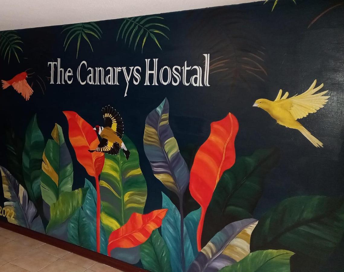 The Canarys Hostal 圣罗莎德卡瓦尔 外观 照片