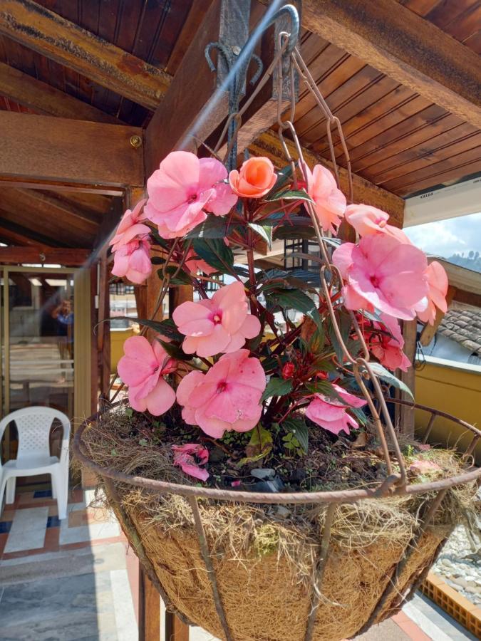 The Canarys Hostal 圣罗莎德卡瓦尔 外观 照片